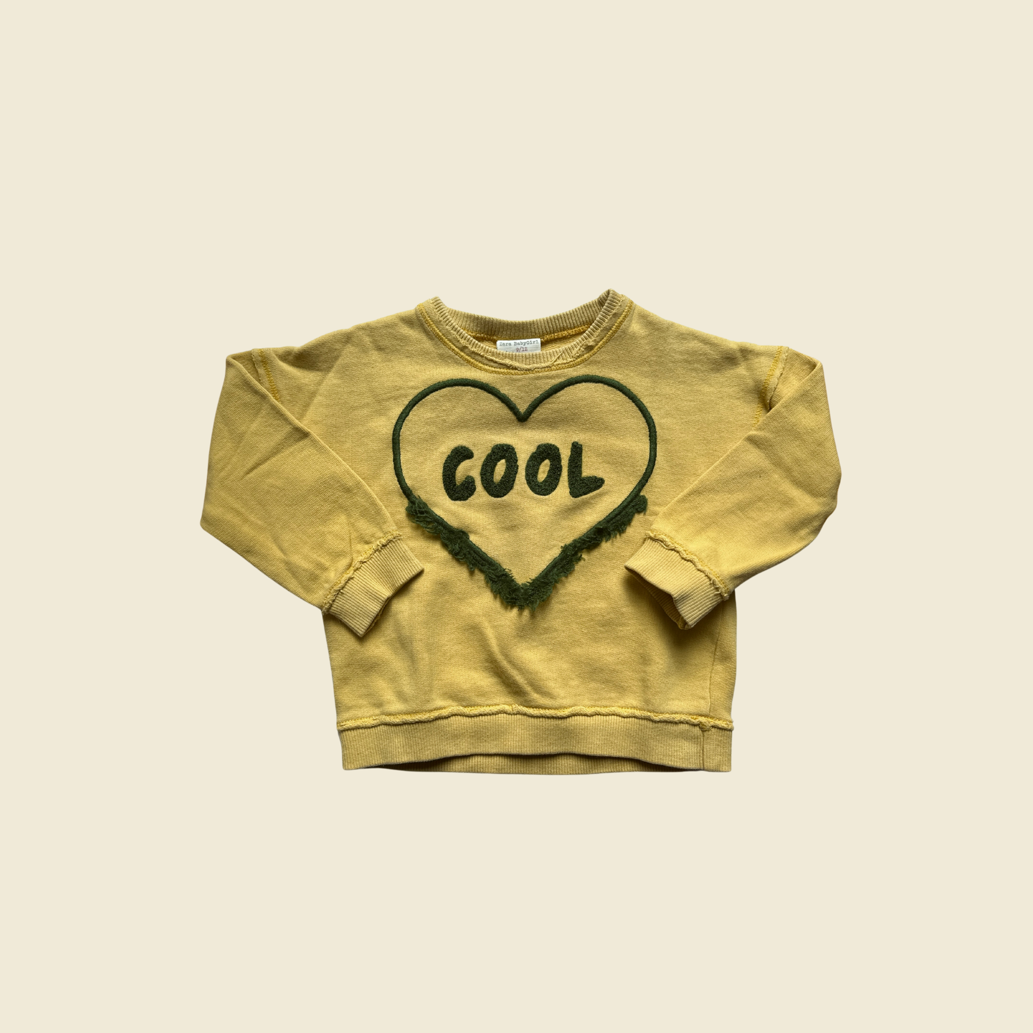 ZARA Crew Neck Sweater | 9-12 Months