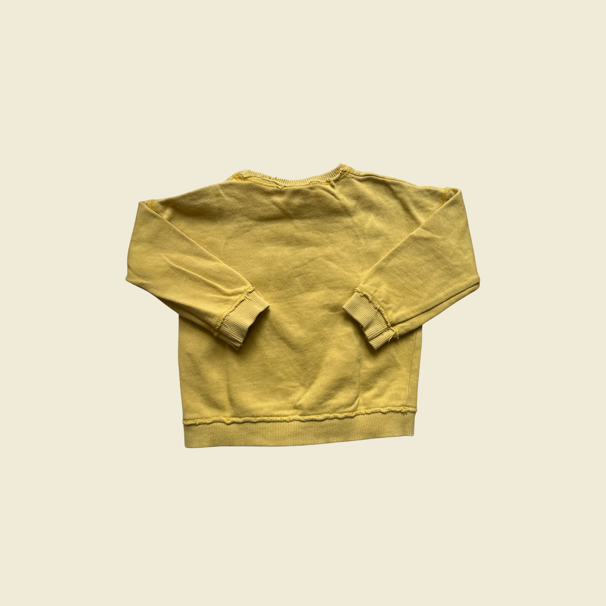 ZARA Crew Neck Sweater | 9-12 Months